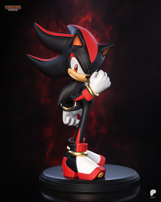 El Erizo de las Sombras - imagen 2