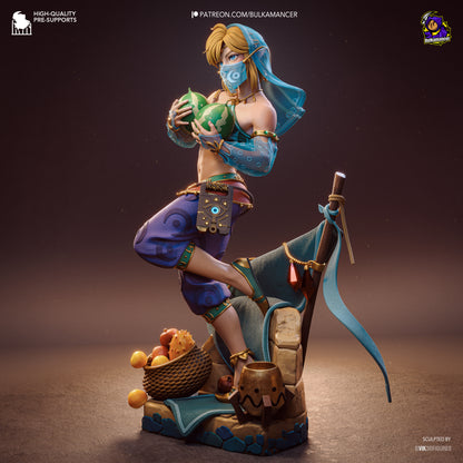Link Gerudo Outfit - The Legend Of Zelda - 9.17 in