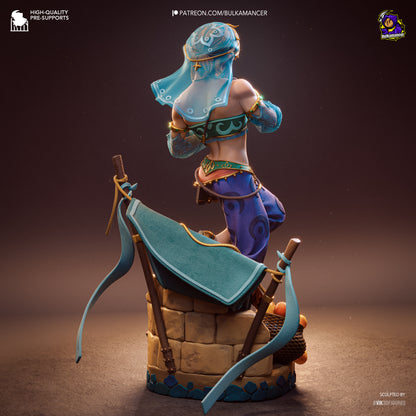Link Gerudo Outfit - The Legend Of Zelda - 9.17 in