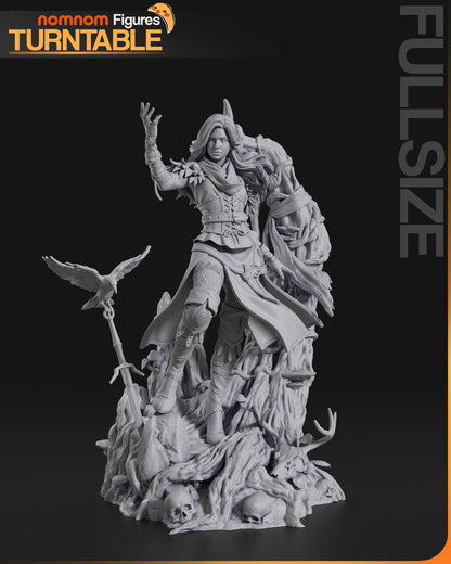 La Hechicera del Eclipse - 21,3 cm