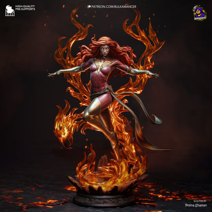 La Fénix Oscura - imagen 4