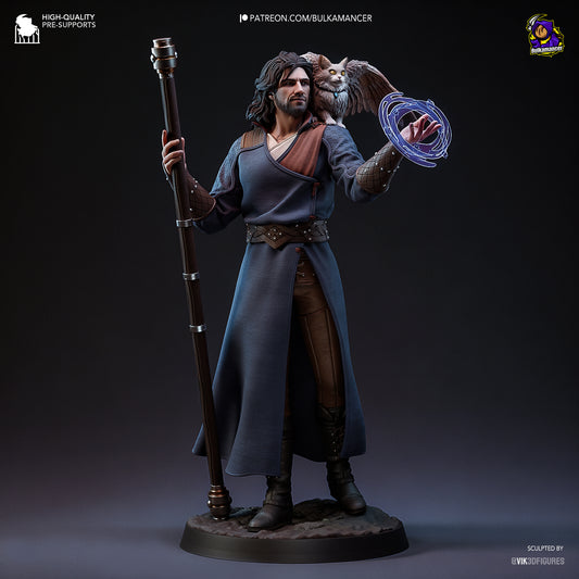 El Hechicero y su Familiar - imagen 2