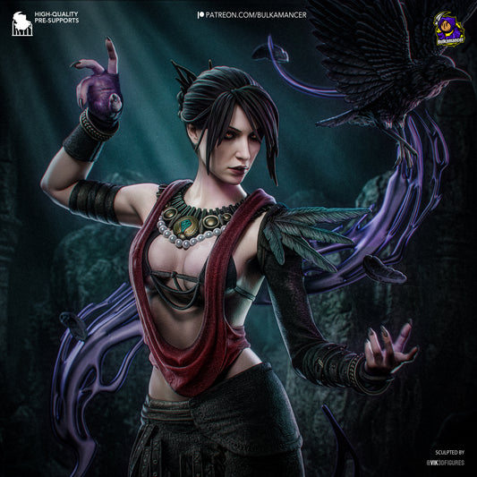 La Hechicera de Ferelden - imagen 1