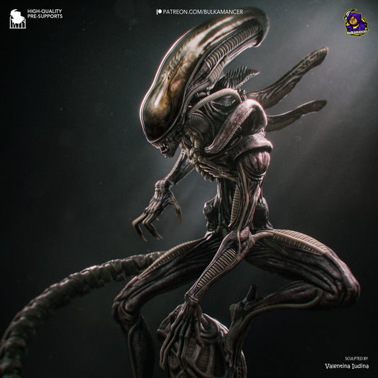 Figura de Xenomorph - vista 1